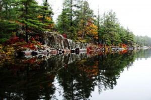 Misty Fall
